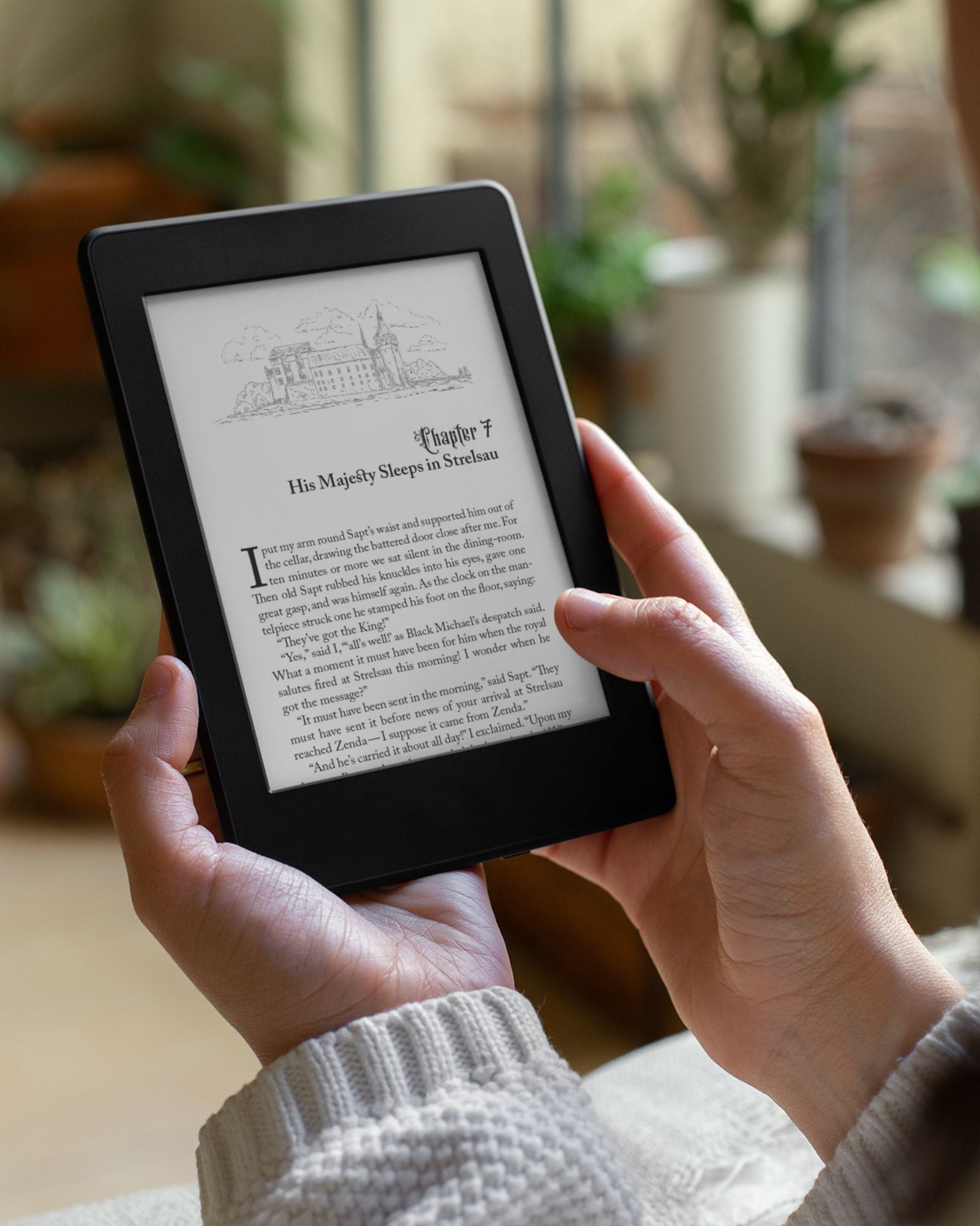 Ebook of "The Prisoner of Zenda," a classic adventure fiction novel by Anthony Hope, published by Smidgen Press